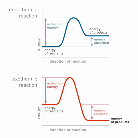 Understanding Energy Level Diagrams in Reactions