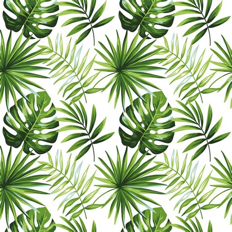 Tropical palm leaf Seamless vector illustration pattern background ...