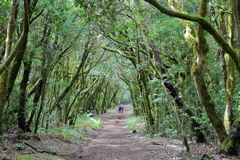 10 Best Hiking Trails in the Canary Islands - Take a Walk Around the ...