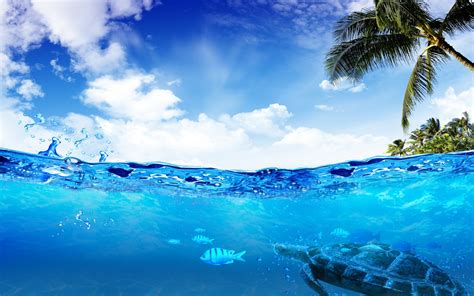 Download Nature Underwater HD Wallpaper