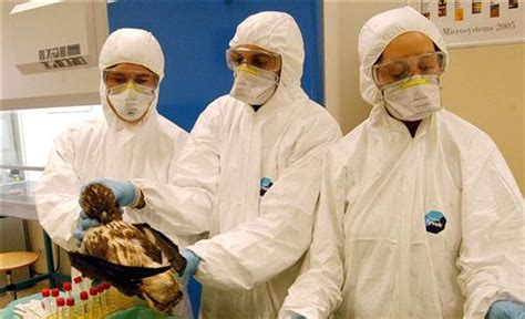 Feb. 28, 2006 - H5N1: New Outbreaks - CBS News