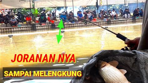 LOMBA MANCING GALAPUNG IKAN MAS, PEMANCINGAN 72 CILEDUG, HADIAH 5JUTA ...