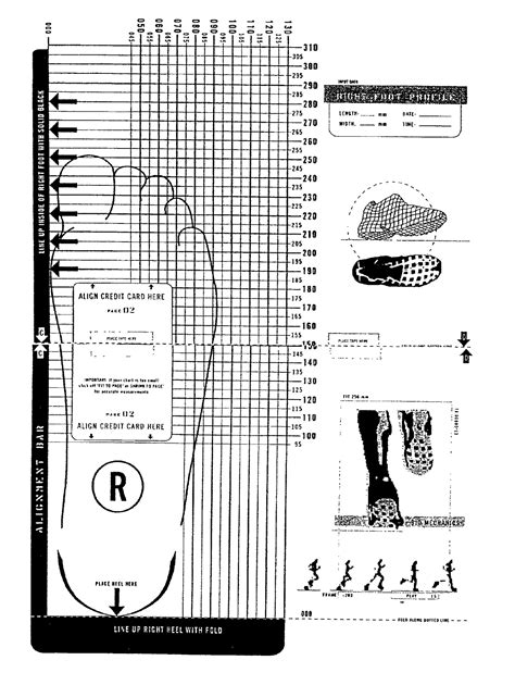 Shoe Size Chart Printable