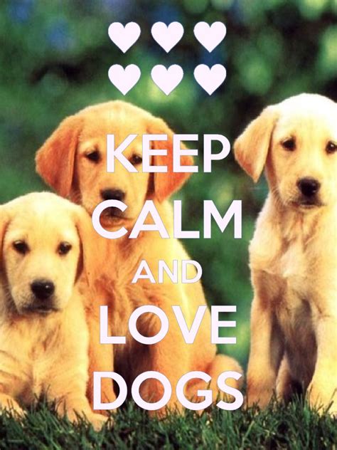 Keep calm and love dogs!! Keep Calm Posters, Keep Calm Quotes, Like ...