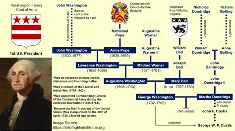 George Washington Family Tree : r/UsefulCharts