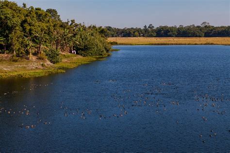 Life on the Majuli island · SandeepaChetan's Travel Blog