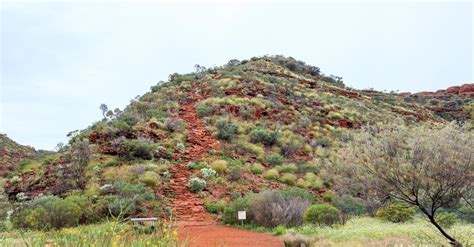 Chaparral Biome Facts About Location, Climate, Plants & Animals