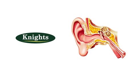 A Guide to Microsuction Ear Wax Removal - Knights Pharmacy