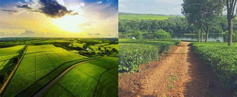 List Of 10 Best Places To Visit In Kericho County