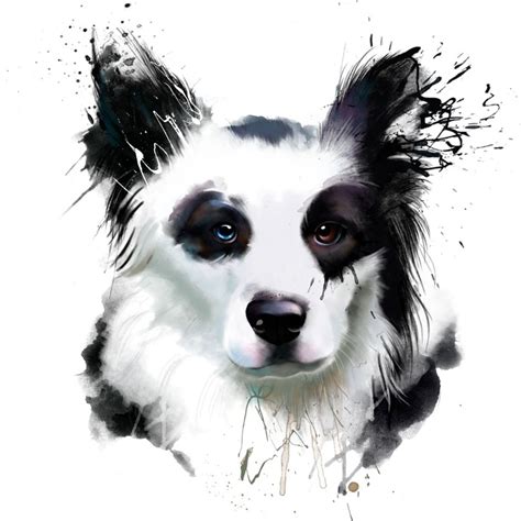 Border Collie Watercolor at GetDrawings | Free download