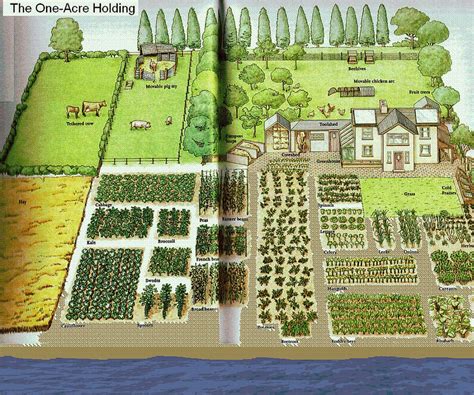 Garden layout vegetable, Farm gardens, Vegetable garden planning