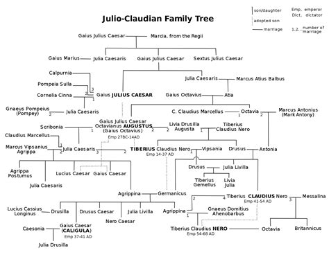 Augustus Caesar Family Tree