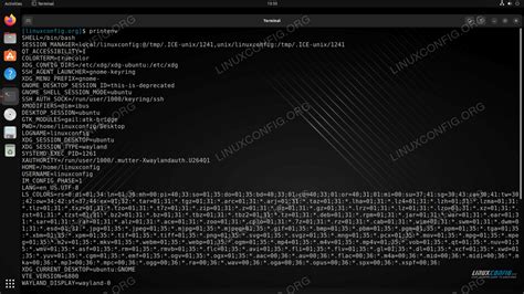 How to print environment variables on Linux - Linux Tutorials - Learn ...