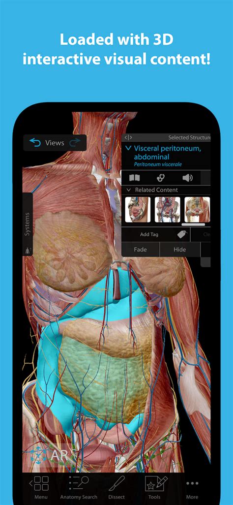 Human Anatomy Atlas 2023 MOD APK v2024.00.005 (Unlocked) for Android