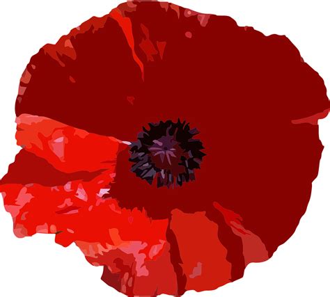 6 FREE poppy images for Remembrance Day