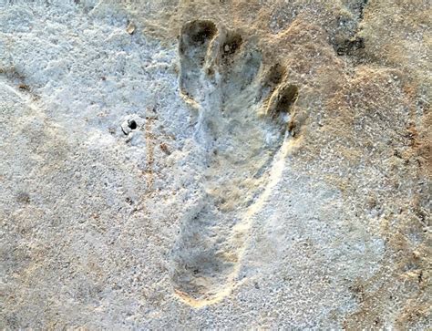 The Oldest Human Footprints in North America Could Redefine Prehistory ...