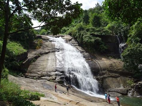 Top Places for Trekking in Wayanad