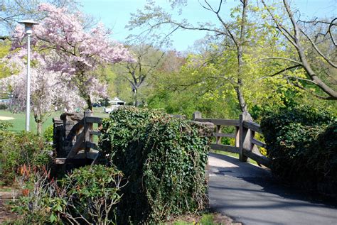 Spring flowers in Memorial Park, Maplewood NJ | Memorial park ...