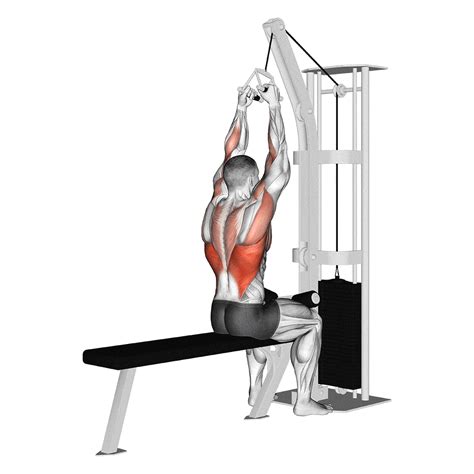 Close Grip vs Wide Grip Lat Pulldown: Target Your Back Muscles ...