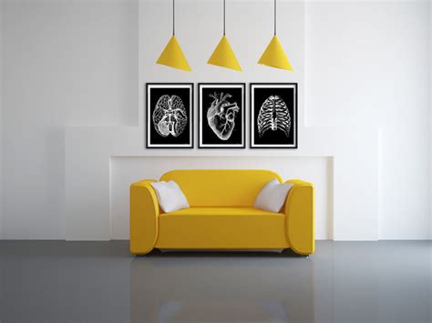 Human Rib Cage Black Poster Anatomy Art Anatomical Art - Etsy