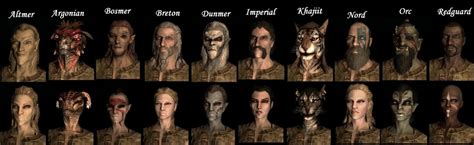 Races In Skyrim The Elder Scrolls V: With A Chart | HubPages