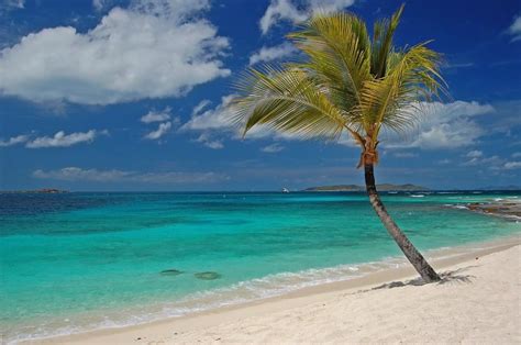 St. Vincent and the Grenadines Photo Gallery | Fodor’s Travel