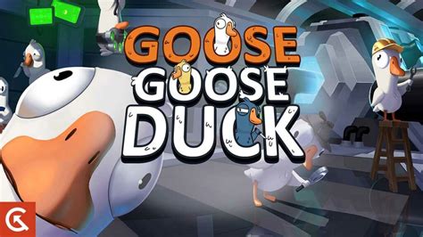 Goose goose duck roles and responsibilities - nhlopi