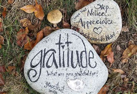 30+ Best Quotes About Gratitude For Children