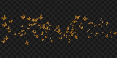 Monarch Butterflies 6 Effect | FootageCrate - Free FX Archives