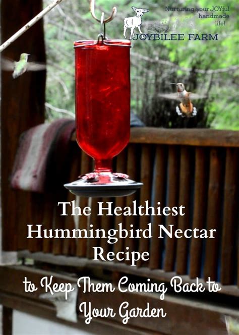 The Healthiest Hummingbird Nectar Recipe So They'll Come Back Next Year