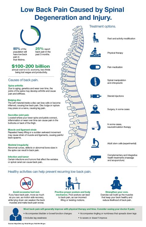 12 Best Exercises for Chronic Low Back Pain - West Denver Chiropractor