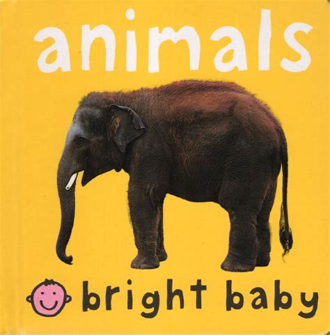 Animals (Bright Baby Board Book) (5x5)