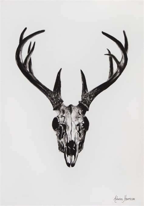 "Deer Skull" by Ashvin Harrison. Paintings for Sale. Bluethumb - Online ...