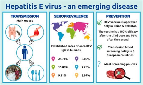 Viruses | Free Full-Text | The Re-Emergence of Hepatitis E Virus in ...