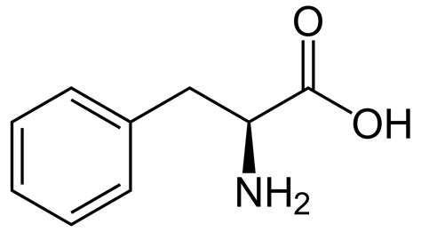 Phenylketonuria - Wikipedia