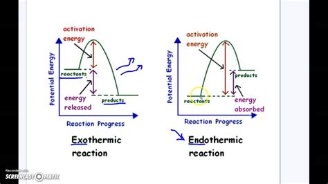 Endothermic Vs. Exothermic Reaction Graphs - YouTube