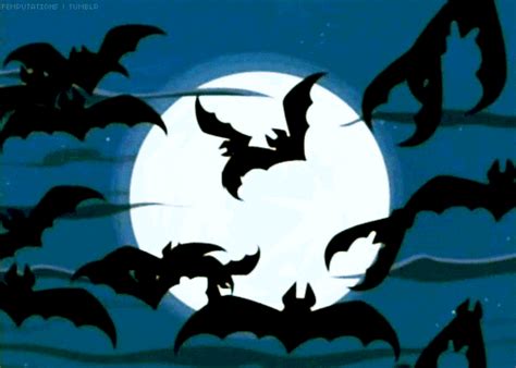 Halloween Bats GIF - Find & Share on GIPHY