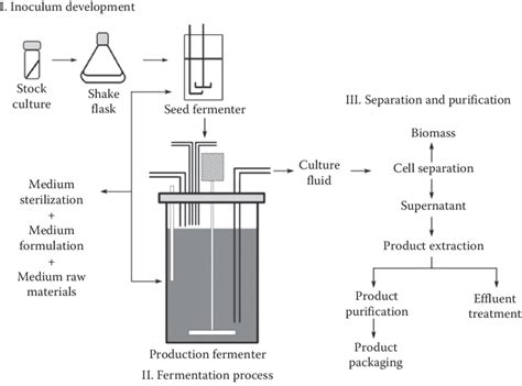 Fermentation Process Diagram