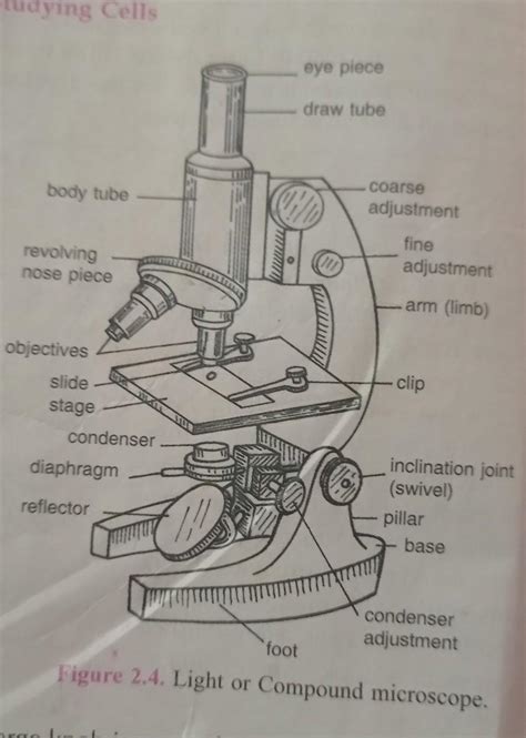 Can someone can send me diagram of this compound microscope with all ...