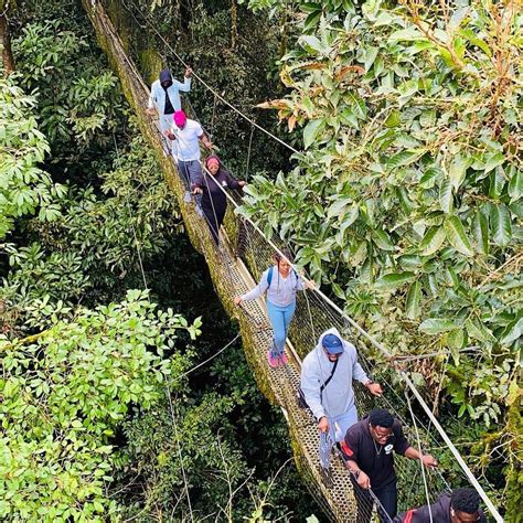 Obudu Mountain Resort: History, Prices, When to Visit, and Things to Do