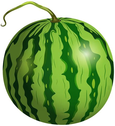 Watermelon Transparent Background 15099998 PNG