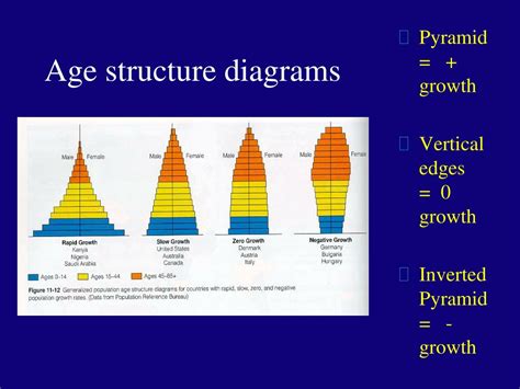 Age Structure Diagram By Country Pyramid Pyramids Structure