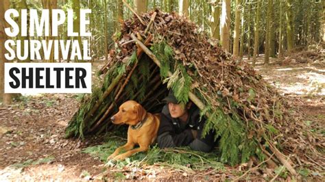 What Makes A Good Survival Shelter? | A Guide to Natural Shelters ...