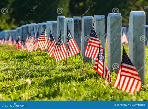 Veteran Cemetery with Flags Stock Image - Image of veteran, green ...