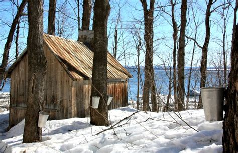 Stuck on Québec City: 5 Sweet Maple Syrup Activities | ShermansTravel