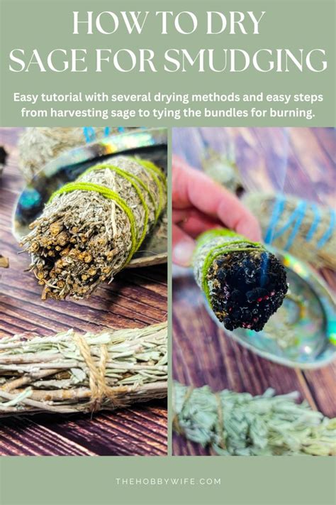 How to Dry Sage for Smudging to Make DIY Smudge Sticks - The Hobby Wife ...