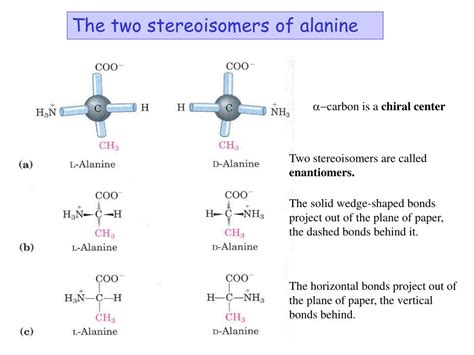 PPT - AMINO ACIDS PowerPoint Presentation, free download - ID:1205136