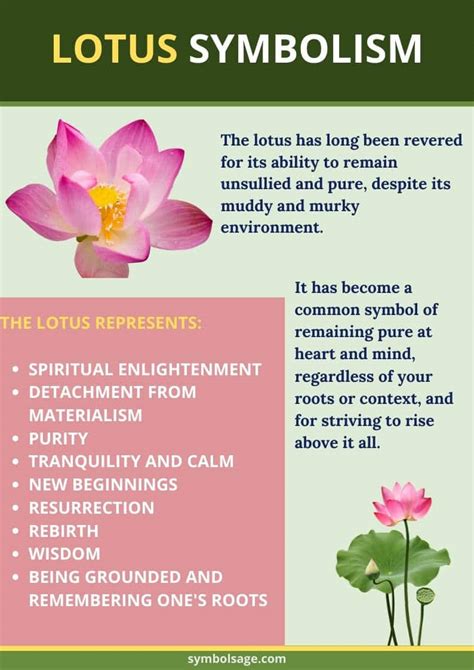 Lotus Flower Meaning: Purity, Enlightenment, and Resilience