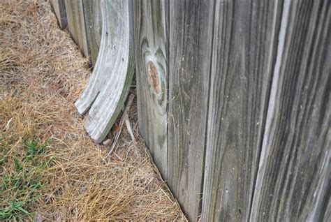 Pressure Treated lumber (PT Lumber) Twists and Warps!American eBuilder