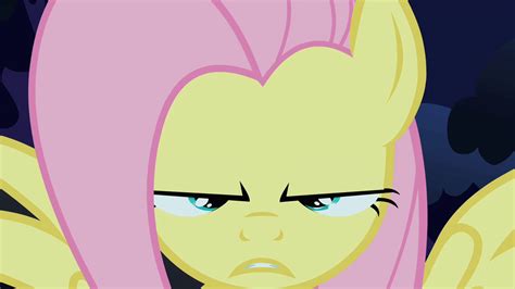 Image - Fluttershy about to do the stare S1E17.png - My Little Pony ...